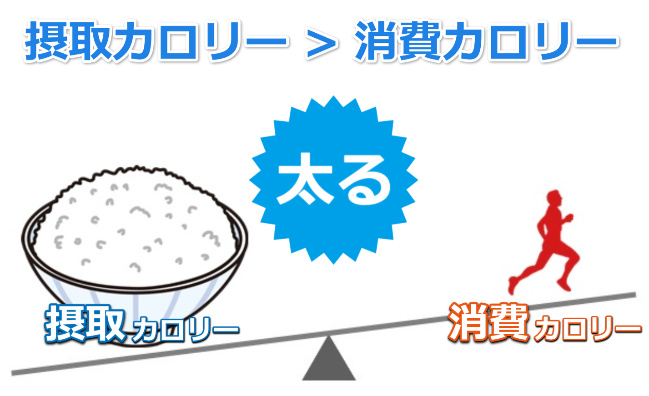 摂取カロリーより消費カロリーが下回ると太る