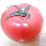 トマトの置き換えダイエットレシピ